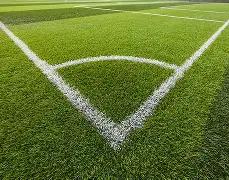 乐鱼体育,资讯,乐鱼体育app下载,乐鱼体育app下载,乐鱼体育官网,乐鱼体育官方网站,乐鱼体育平台