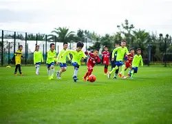 乐鱼体育,资讯,乐鱼体育app下载,乐鱼体育app下载,乐鱼体育官网,乐鱼体育官方网站,乐鱼体育平台