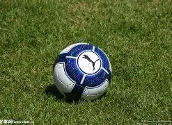 乐鱼体育,资讯,乐鱼体育app下载,乐鱼体育app下载,乐鱼体育官网,乐鱼体育官方网站,乐鱼体育平台