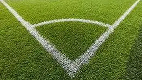 乐鱼体育 资讯 175026 50w