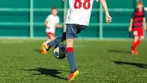 乐鱼体育 资讯 175112 1m7